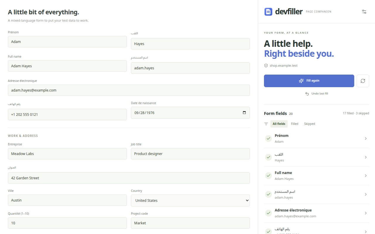 A filled form with the DevFiller side panel listing 17 filled and 3 skipped fields